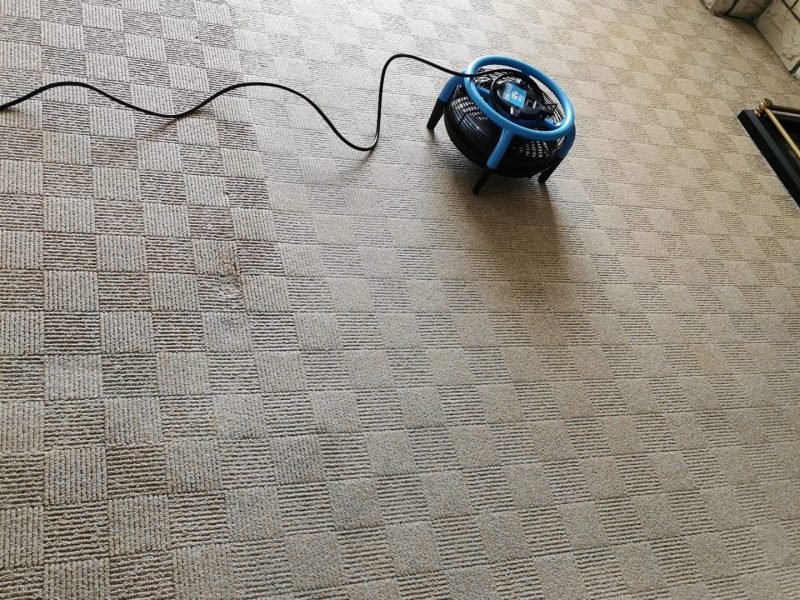 Cleanology NI - Carpet & Upholstery Cleaning