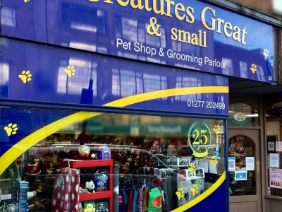 Creatures Great & Small Ltd