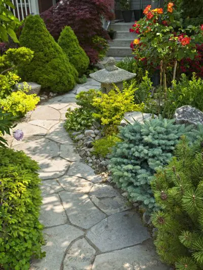 Landscaping and Outdoor Services