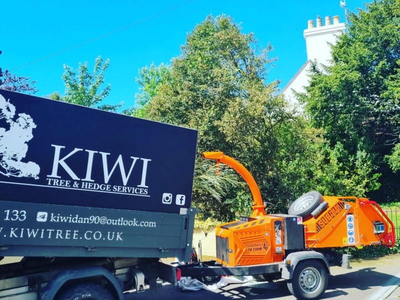 KIWI Tree & Hedge Services