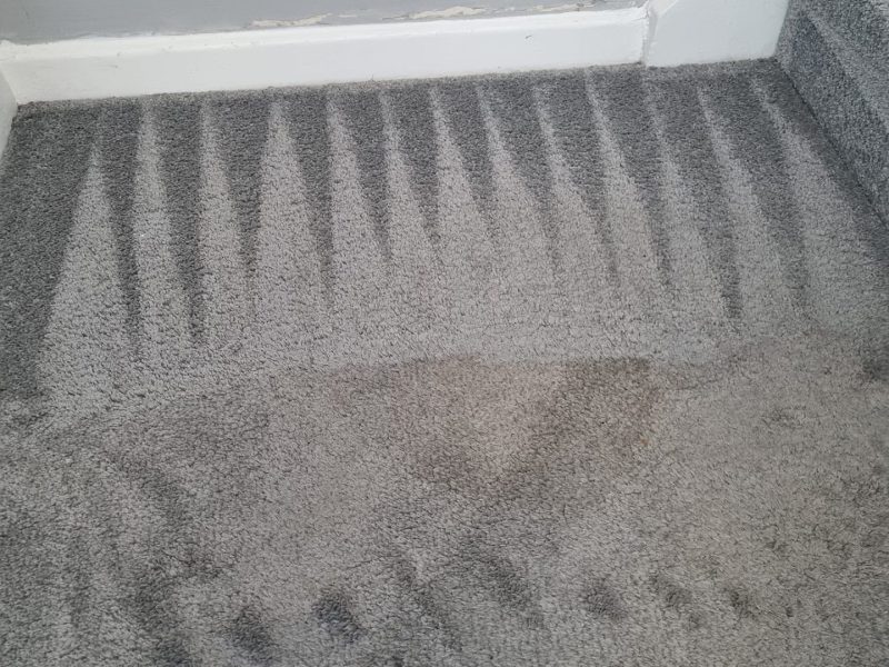 South Coast Carpet Cleaning