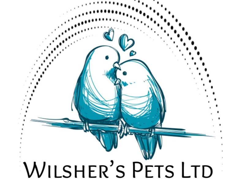 Wilsher's Pets Ltd
