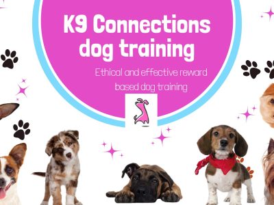 K9 Connections - Dog training School