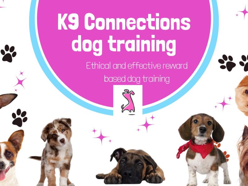 K9 Connections - Dog training School