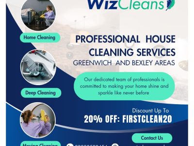 Wiz Cleans