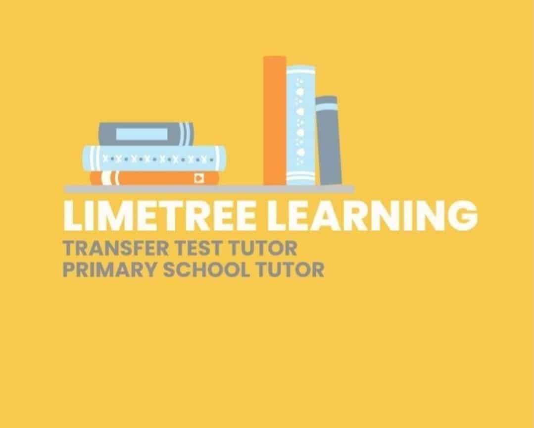 Limetree Learning Lisburn Primary school Tutoring Service Local Small